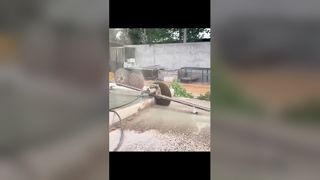 সামঞ্জস্যযোগ্য প্রাচীর দেখেছি রেল সমর্থন