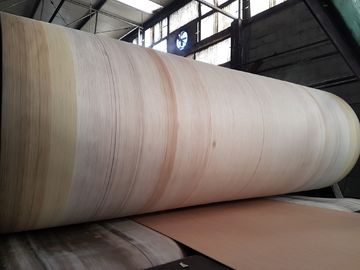 বিএইচএস, ফসবার, মারকিপ rugেউখেলান রেখার জন্য আরমিড এজ করিগ্রেটার বেল্ট উচ্চ স্থায়িত্ব